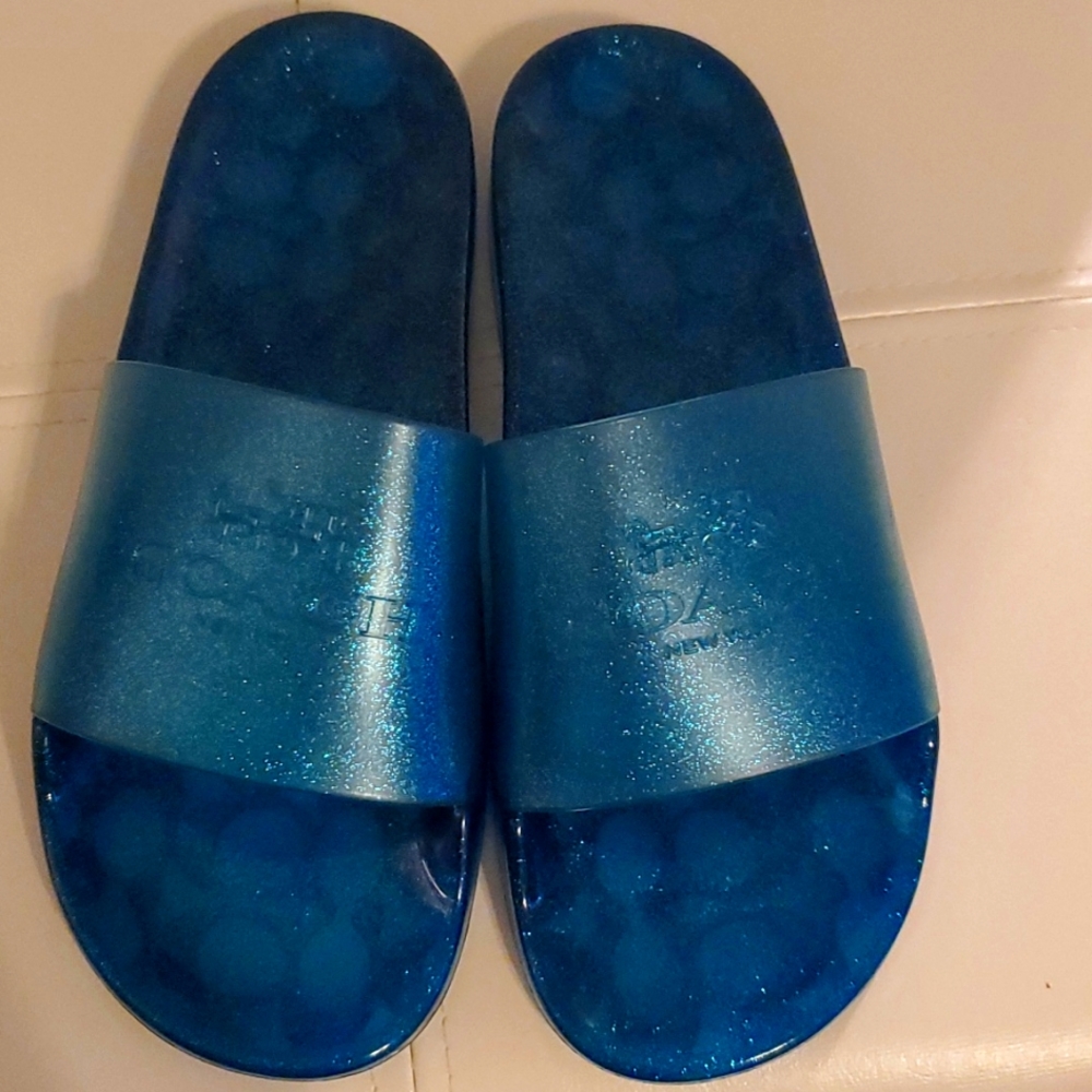 Coach Ulyssa slides